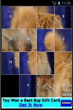 Persian Cat Puzzles游戲截圖1