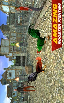 Rooster Wild Fighting : Farm Battle Run游戲截圖4