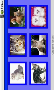 Cat Game游戲截圖1