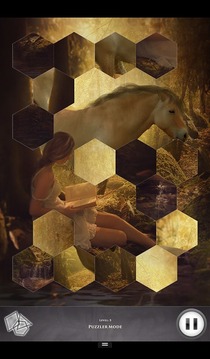 Hidden Scenes- Horse Whisperer游戲截圖5