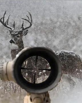 Deer Winter Hunter 2014游戏截图3