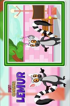 Pet Caring Lemur游戲截圖4