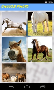 Horses Jigsaw Puzzle游戲截圖3