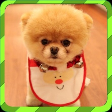 Puppy Games - Spot Differences游戲截圖1