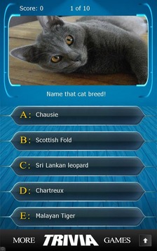 Name that Cat Breed Trivia游戲截圖5