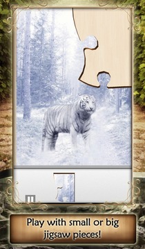 Live Jigsaws - Cat Tailz游戲截圖2