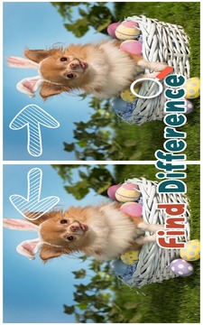 Find 5 Differences : Puppies游戲截圖2