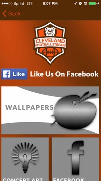 Cleveland Football STREAM游戲截圖5