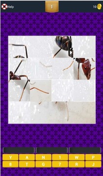 Riddle Picture Game游戲截圖2