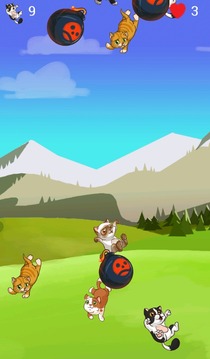 Kitten Catch游戲截圖3