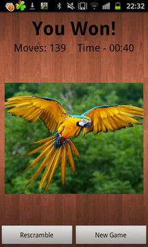Your Picture Puzzle游戲截圖4