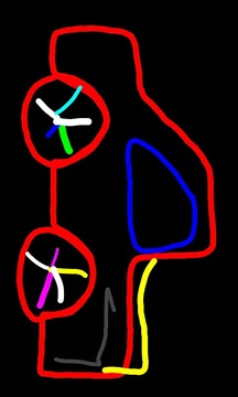 Kids Free Drawing游戲截圖1