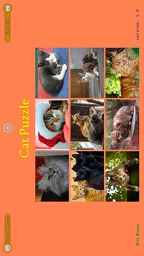 Cat Puzzle - Best For Kids游戲截圖5