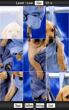 Cute Dogs, Puppies Jigsaw Game游戲截圖3
