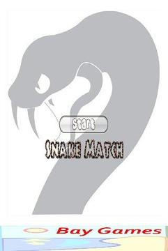 Snake Match Game游戲截圖1