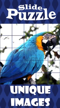 Slide Puzzle Quest游戲截圖2