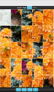 Flora Fauna Puzzle游戲截圖5