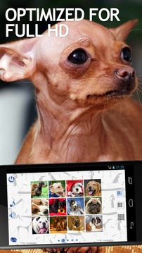 Jigsaw Puzzles Dogs游戲截圖3