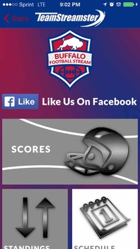 Buffalo Football STREAM游戲截圖2