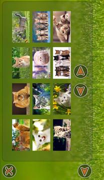 Cats Puzzle游戲截圖2