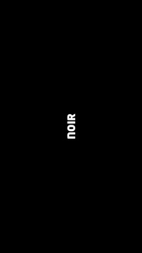 NOIR游戲截圖1