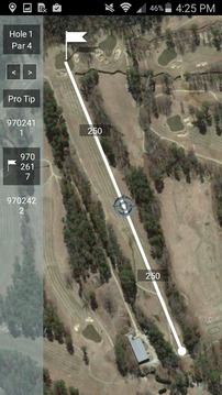 Pine Tree Country Club游戲截圖2