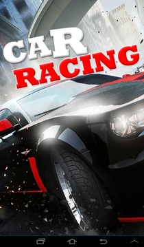 Car Race Game游戲截圖3