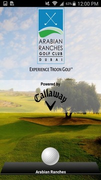 Arabian Ranches Golf Club游戲截圖4