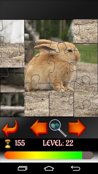 Puzzle Animals游戲截圖2