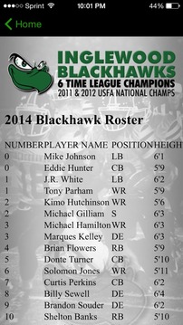 Inglewood Blackhawks游戲截圖2