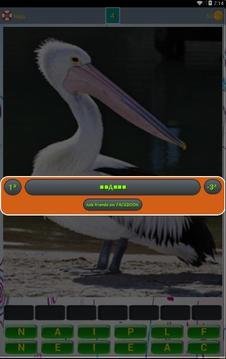 Bird Lovers Quiz游戲截圖5
