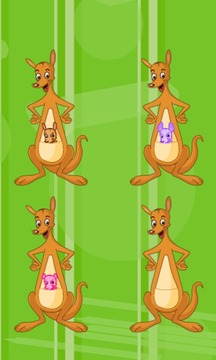 Memory Favorite Kangaroo游戲截圖2