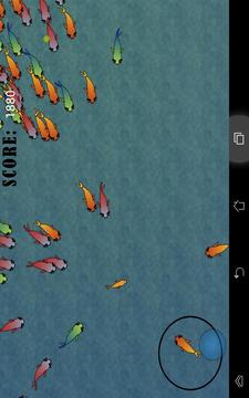 Fish Chase!游戲截圖2