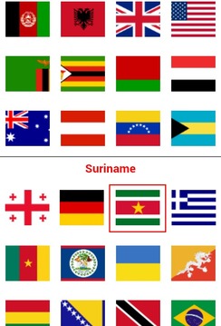 Logo Quiz - World Flags Guide游戏截图2