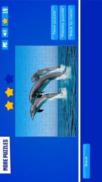 Dolphin Puzzles游戲截圖4
