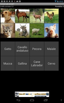 Do you know animals?游戲截圖2