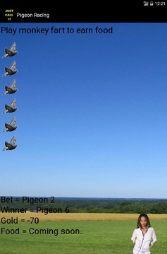 Pigeon Racing游戲截圖2