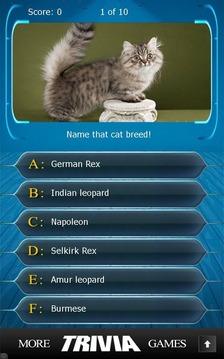 Name that Cat Breed Trivia游戲截圖3