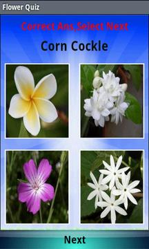 Flower Quiz游戲截圖3
