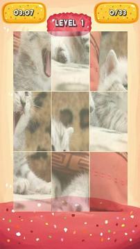 Silvery Kitten Jigsaw Puzzle游戲截圖4