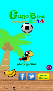 Gago Bird Soccer 2014游戲截圖4