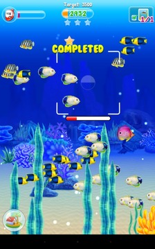 Fishy Ola - Paparazzi Ola游戲截圖1