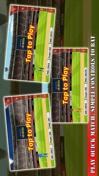 Ultimate Power Cricket游戲截圖3