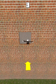Fly Bird Fly 3D游戲截圖1