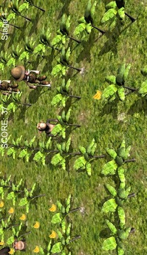 Monkey Bananas Free Trial游戲截圖1