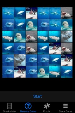 Shark Revenge Attack游戲截圖2