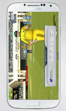 Cricket World Cup Game游戲截圖3