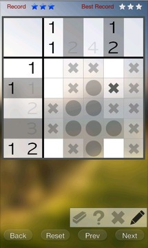 Picross Infinity 2游戲截圖2