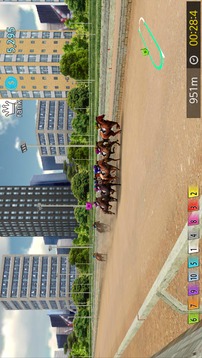 Pick Horse Racing游戲截圖5