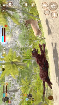 Panther Simulator 3D游戲截圖4
